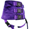 Purple Passion High Strapon Harness